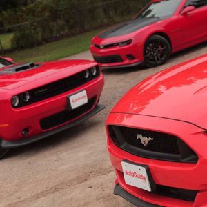 Meet your Posher, Jay